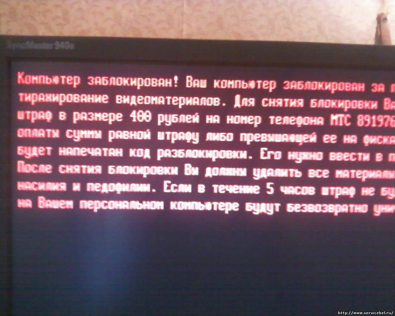 Ремонт ноутбуков в Белгороде. Восстановление информации